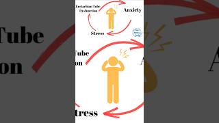 Eustachian Tube Dysfunction and caffiene shorts [upl. by Clay]