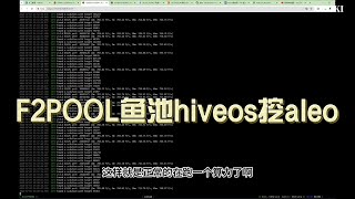 ALEO挖矿F2POOL鱼池hiveos挖aleo教程一键飞行！ [upl. by Lakim]