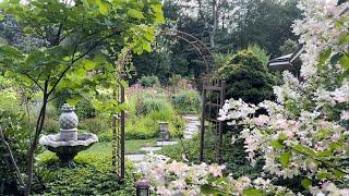 Panicle Hydrangeas amp more… August 15 2023 [upl. by Hnao]