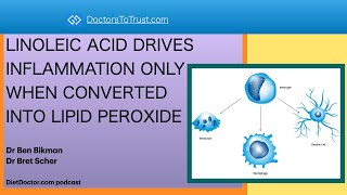 Ben Bikman LINOLEIC ACID DRIVES INFLAMMATION ONLY WHEN CONVERTED INTO LIPID PEROXIDE [upl. by Adien826]