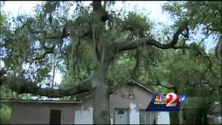 Mother arrested after child found in filthy home deputies say [upl. by Auoy750]