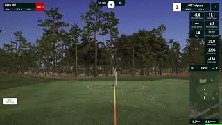 Playing 4 holes on TCP Sawgrass with the GC Quad [upl. by Fax]