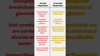 Aerobic vs Anaerobic Respiration in Plants  Key Differences Explained [upl. by Gretchen58]