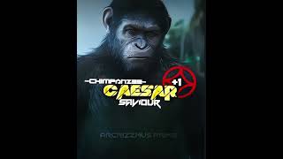 CAESAR VS KOBA  PLANET OF THE APES  foryou fyp edit planetoftheapes caesars koba fy [upl. by Schach]