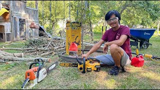 Ideal Chainsaw For Yard Work  12quot DeWalt 20V Max Compact Size  Demonstration 1st Impression Review [upl. by Kcaj]