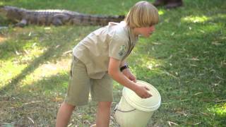 Robert Irwin Feeds Alligators and Freshwater Crocodiles [upl. by Resaec]