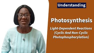 Photosynthesis LightDependent Reactions Cyclic And NonCyclic Photophosphorylation [upl. by Eindys]