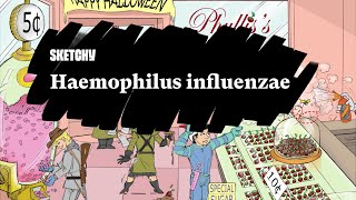 Haemophilus influenzae Infection Fundamentals Part 1  Sketchy Medical  USMLE Step 1 [upl. by Lawton598]