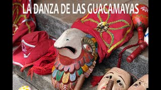 Danza de las Guacamayas [upl. by Lundeen]