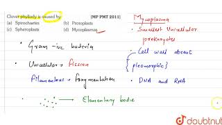 Clover phyllody is caused by [upl. by Subir]