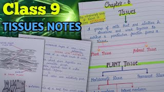 Class 9 CBSE Biology  The Fundamental Unit Of Life  One Shot Revision  Xylem Class 9 CBSE [upl. by Minni]