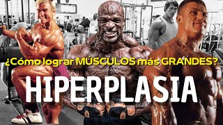 HIPERPLASIA MUSCULAR El Secreto Detrás del Crecimiento Extremo 💪 [upl. by Honig]