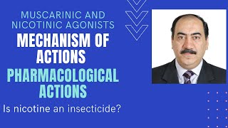 Mechanisms amp pharmacological actions of muscarinic amp nicotinic agonists [upl. by Westhead]