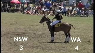 Australian Polocrosse National Championships  Perth 2008  Senior Mixed Final  NSW vs WA [upl. by Annahaj40]