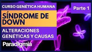 Que es el Sindrome de Down  Cariotipos del Síndrome Down ✅ Curso de Genética 001 [upl. by Irwinn625]