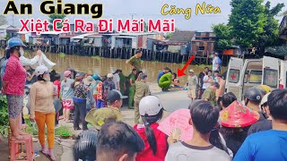 An Giang lại CĂNG ông lão 62T xiệt cá ra đi mãi mãi chỉ vì vài chục ngàn mưu sinh [upl. by Aniad536]