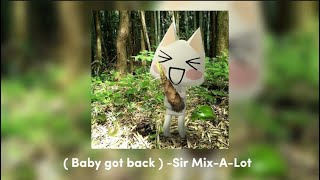 “Baby got back” sped up Sir MixALot [upl. by Trin]