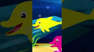 We Are The Dolphins shorts trending kidsmusic seaanimals viral [upl. by Ariday]