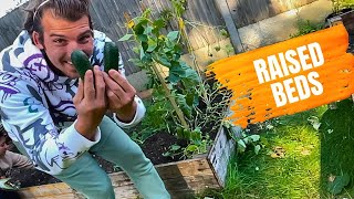 DIY Raised Beds How Many Vegetables Did We Grow In Our First Year  First House Vlog 23 [upl. by Orva999]