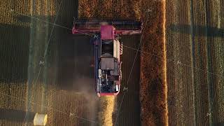 Growing grain on fertile soil solving the world food crisis Aerial view of a working combine [upl. by Yatnoed713]