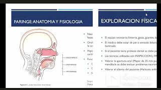 Boca faringe y cuello  clase11  sem 2 [upl. by Marguerita145]