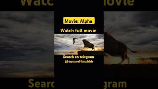 How to download movies for free Movie clip Best movies of all time ytshorts shorts moviesclips [upl. by Ailhat]