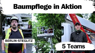 Baumpflege in Steglitz So arbeitet Baumpflege Bittner 🌳 [upl. by Kauppi146]