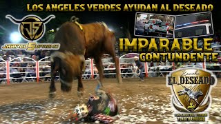 Compostela Nayarit El Deseado impone tumba y con puro toro barcino en un evento de los matones [upl. by Bale117]