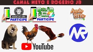 RESULTADO AO VIVO ROGERIO E NETO JB  FEDERAL  21112024 [upl. by Goltz]