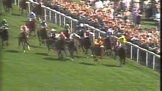 1987 Epsom Derby [upl. by Ryhpez]