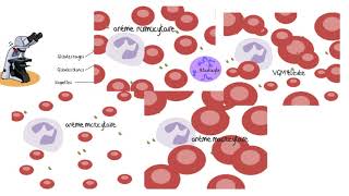 Comprendre les analyses sanguines [upl. by Cosma]