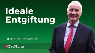 Pektine Die ideale Entgiftung  Dr Heinz Reinwald  Naturmedizin  QS24 Gesundheitsfernsehen [upl. by Glover]