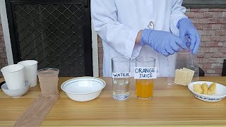 Digestive System Demo Do it at Home Experiment [upl. by Bautista]