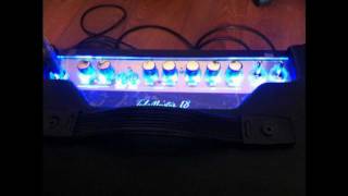 Hughes amp Kettner Tubemeister 18 Combo Demo [upl. by Brass591]