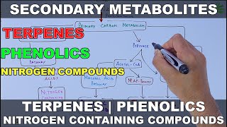 Secondary Metabolites Production in Plants  Secondary Metabolites by Ritikas Tutorial [upl. by Klemperer]