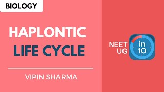 Haplontic Life Cycle  NEET Biology  NEET UG in 10 [upl. by Trimble456]