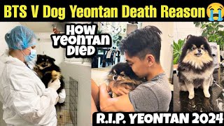 Real Reason for Yeontan Death 😭 How Yeontan Died 🙏 BTS V Dog Yeontan Death Reason bts v yeontan [upl. by Ellenyl]