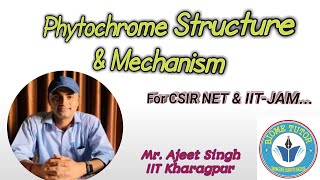 Phytochrome Structure II Phytochrome Mechanism II Phytochrome CSIRNET II Photomorphogenesis [upl. by Wescott]