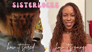 Sisterlocks Journey 10 Year Update Installation Hair Phases Retightening Routine Colour [upl. by Serg]