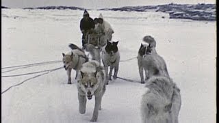 An InuitEskimo family in the Arctic 1959 [upl. by Limann957]