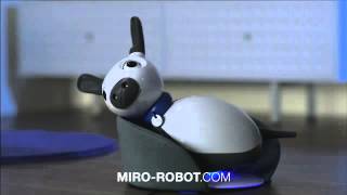 Miro Robot [upl. by Eenram]