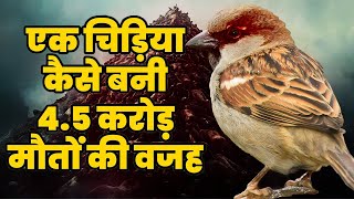 इतिहास की सबसे भयानक गलती  How CHINA did BIGGEST Mistake in History  The Great Sparrow Campaign [upl. by Ninetta]