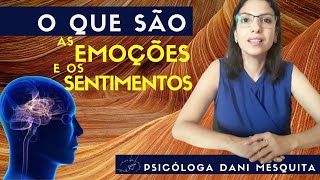 O que são as EMOÇÕES E SENTIMENTOS ORIGEM E SIGNIFICADO [upl. by Ennazzus]