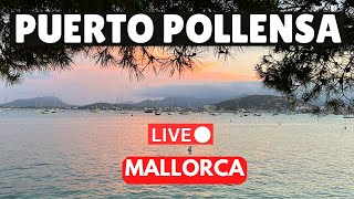 🔴LIVE in Puerto Pollensa Mallorca Majorca  4 August 2024 [upl. by Akcimat]