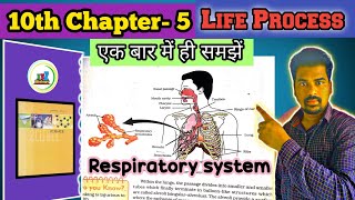 Respiratory System Class 10th  Respiratory System [upl. by Noah717]