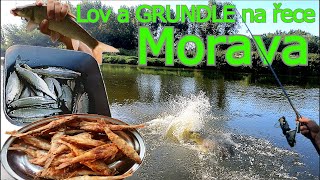 Morava🎣 recept  GRUNDLE 🍗 a naše rybářské dobrodružství🐟kapr sumec parma ouklej👑 [upl. by Yeldar335]