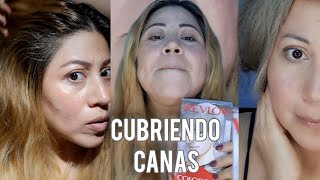 Vamos Toca Tinte y Cubriendo Canas✨️ maquillajeceliamakeup saludybelleza cabello tintes [upl. by Couchman]