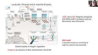 Integrin as BioMechanical sensors [upl. by Anitteb]