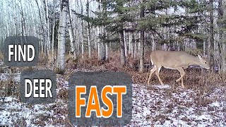 3 Ways to Quickly Locate Deer in the Big Woods [upl. by Silin782]