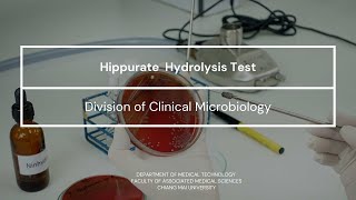 Hippurate hydrolysis test [upl. by Yziar158]